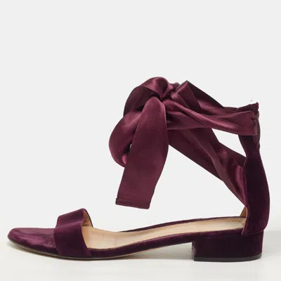 Pre-owned Gianvito Rossi Size 37.5 Purple Velvet Ankle Tie Flat Sandals