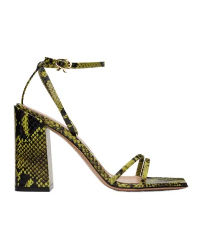 Gianvito Rossi Snake Embossed High-heeled Sandals In Green