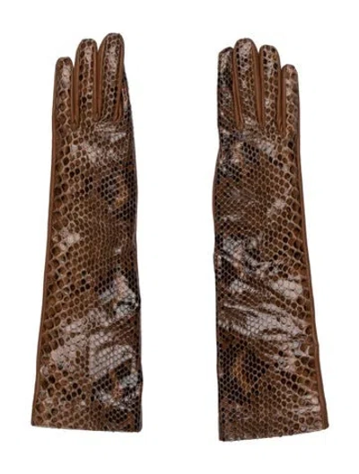 Pre-owned Gianvito Rossi Snakeskin Embellished Gloves In Brown
