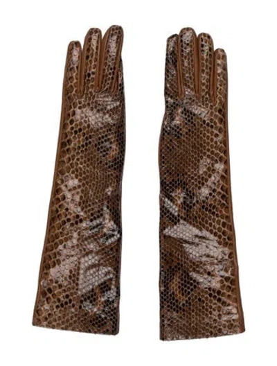 Pre-owned Gianvito Rossi Snakeskin Embellished Gloves In Brown