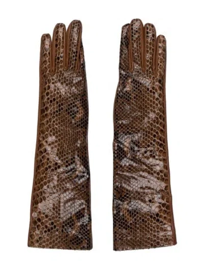 Pre-owned Gianvito Rossi Snakeskin Embellished Gloves In Brown
