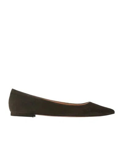 Gianvito Rossi Solid Suede Ballet Flats In Black