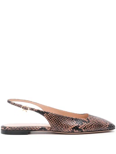 Gianvito Rossi Embossed Square-toe Slingback Ballerina Flats In Praline