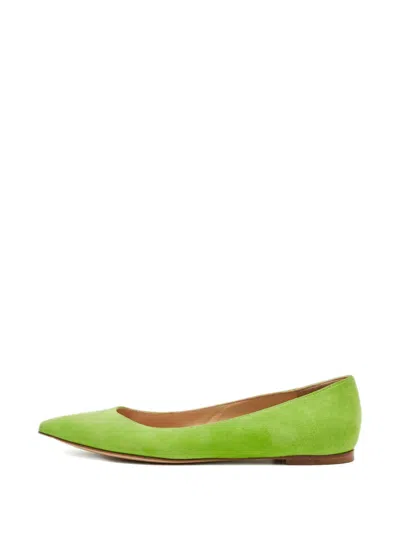 Pre-owned Gianvito Rossi Suede Almond-toe Ballet Flats In Green