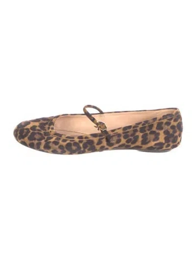 Pre-owned Gianvito Rossi Suede Animal Print Ballet Flats In Brown