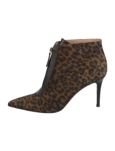 Pre-owned Gianvito Rossi Suede Animal Print Lace-up Boots In Brown