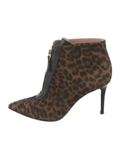 Pre-owned Gianvito Rossi Suede Animal Print Lace-up Boots In Brown