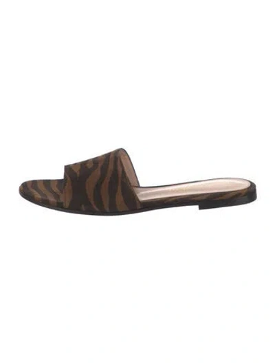 Pre-owned Gianvito Rossi Suede Animal Print Slides In Multicolor