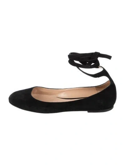 Pre-owned Gianvito Rossi Suede Ballet Flats In Black