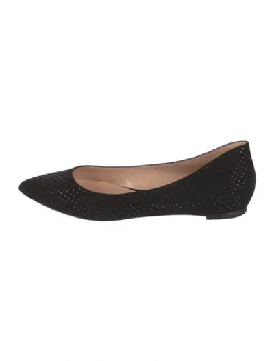 Pre-owned Gianvito Rossi Suede Ballet Flats In Black