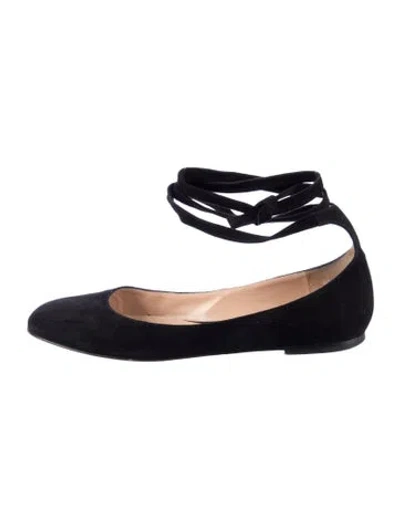 Pre-owned Gianvito Rossi Suede Ballet Flats In Black