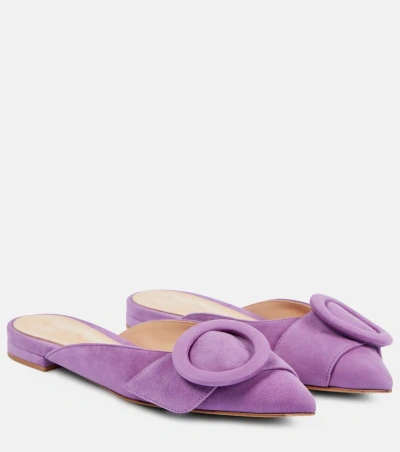 Gianvito Rossi Suede Ballet Flats In Purple