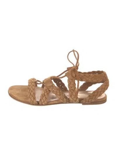 Pre-owned Gianvito Rossi Suede Braided Accents Gladiator Sandals In Brown