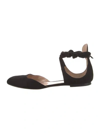Pre-owned Gianvito Rossi Suede D'orsay Flats In Black