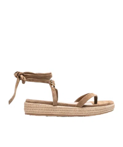 Gianvito Rossi Suede Espadrilles In Brown