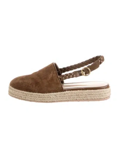 Pre-owned Gianvito Rossi Suede Espadrilles In Brown