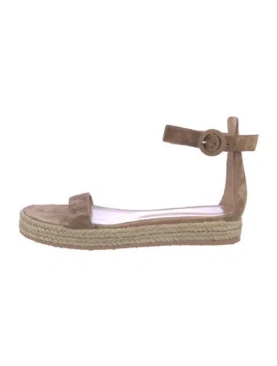 Pre-owned Gianvito Rossi Suede Espadrilles W/ Tags In Neutrals
