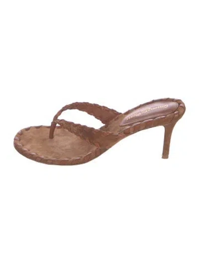 Pre-owned Gianvito Rossi Suede Flip Flops In Brown