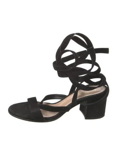 Pre-owned Gianvito Rossi Suede Gladiator Sandals In Black