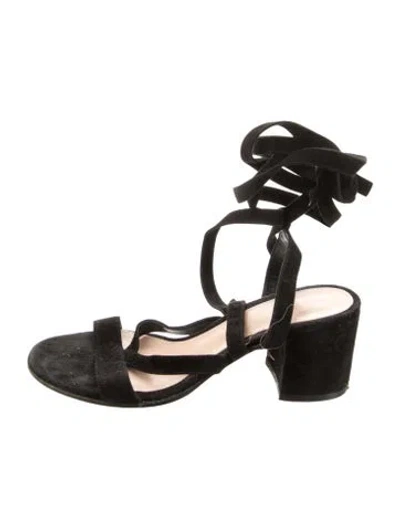 Pre-owned Gianvito Rossi Suede Gladiator Sandals In Black