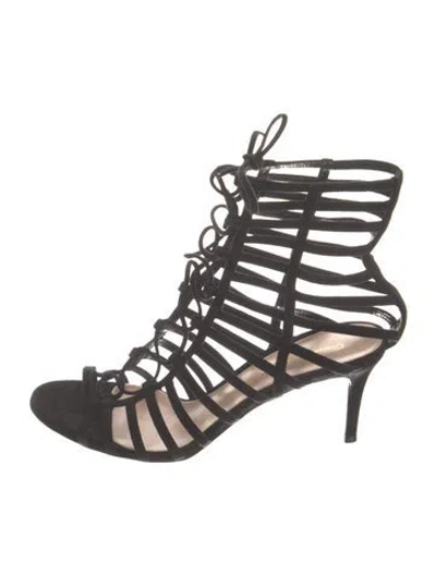 Pre-owned Gianvito Rossi Suede Gladiator Sandals In Black