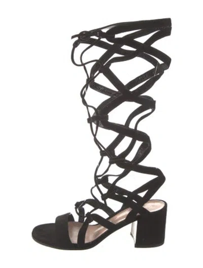 Pre-owned Gianvito Rossi Suede Gladiator Sandals In Black