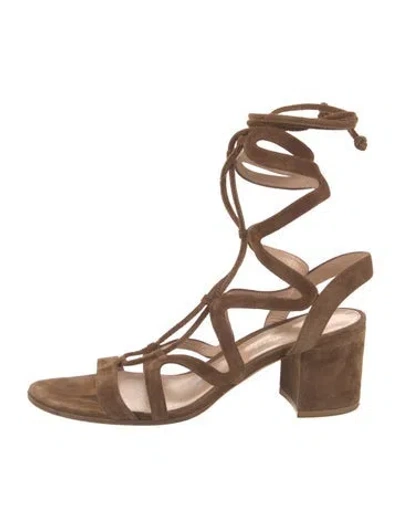 Pre-owned Gianvito Rossi Suede Gladiator Sandals In Brown