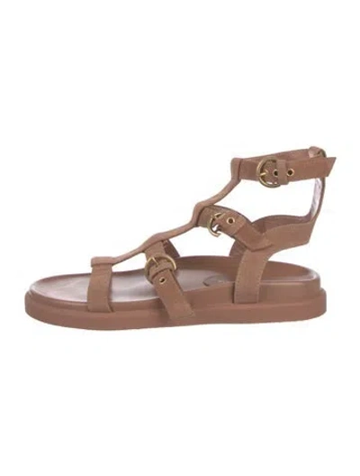 Pre-owned Gianvito Rossi Suede Gladiator Sandals In Brown