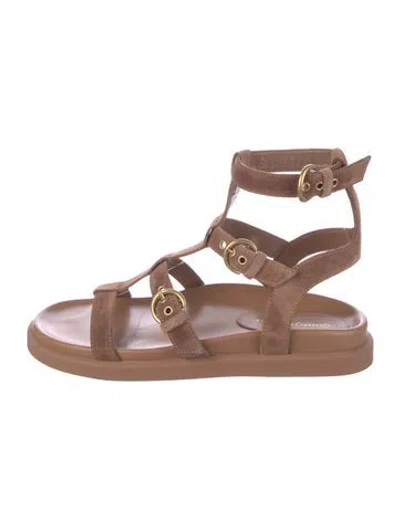 Pre-owned Gianvito Rossi Suede Gladiator Sandals In Brown