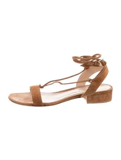 Pre-owned Gianvito Rossi Suede Gladiator Sandals In Brown