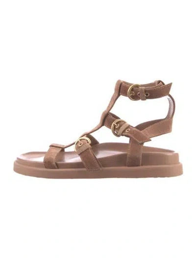 Pre-owned Gianvito Rossi Suede Gladiator Sandals In Brown