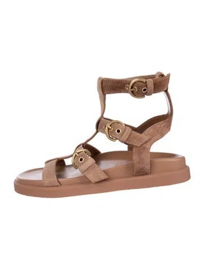 Pre-owned Gianvito Rossi Suede Gladiator Sandals In Brown