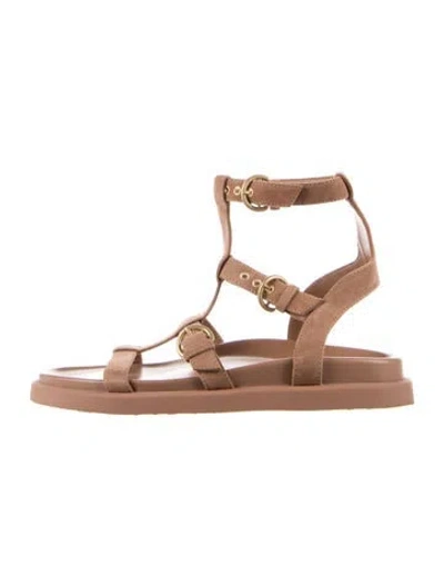 Pre-owned Gianvito Rossi Suede Gladiator Sandals In Brown