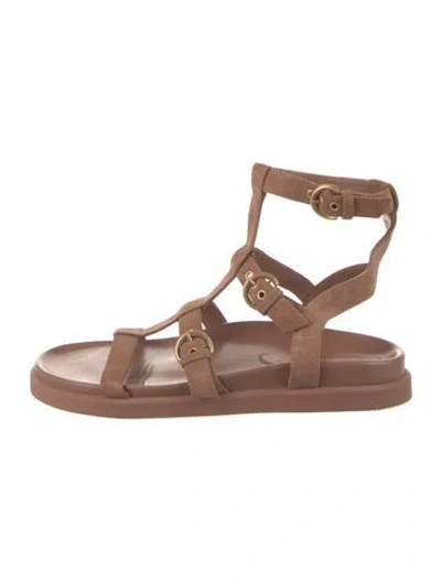Pre-owned Gianvito Rossi Suede Gladiator Sandals In Brown