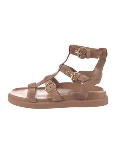 Pre-owned Gianvito Rossi Suede Gladiator Sandals In Brown