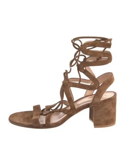 Pre-owned Gianvito Rossi Suede Gladiator Sandals In Brown