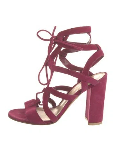 Pre-owned Gianvito Rossi Suede Gladiator Sandals In Pink