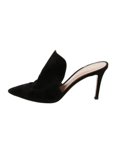 Pre-owned Gianvito Rossi Suede Mules In Black