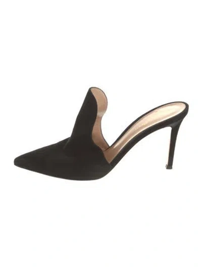 Pre-owned Gianvito Rossi Suede Mules In Black