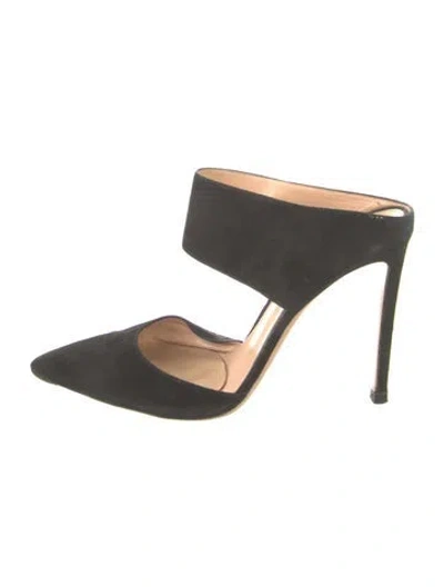 Pre-owned Gianvito Rossi Suede Mules In Black