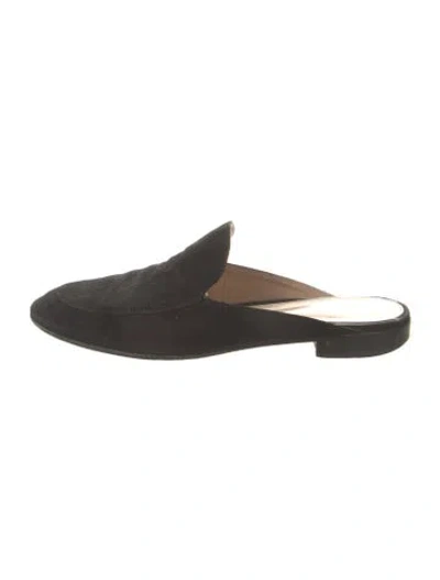 Pre-owned Gianvito Rossi Suede Mules In Black
