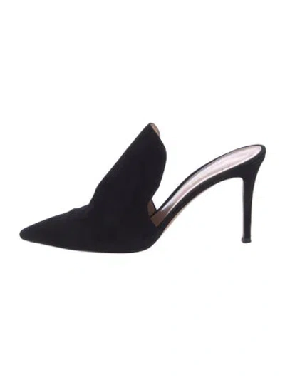 Pre-owned Gianvito Rossi Suede Mules In Black