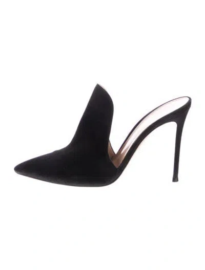 Pre-owned Gianvito Rossi Suede Mules In Black