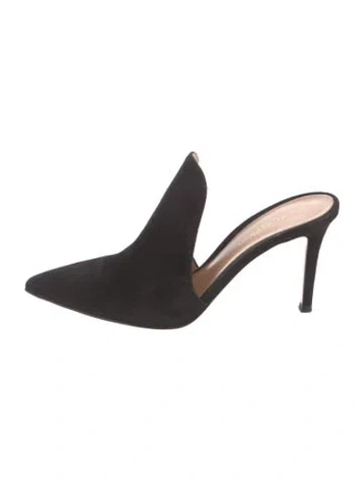Pre-owned Gianvito Rossi Suede Mules In Black