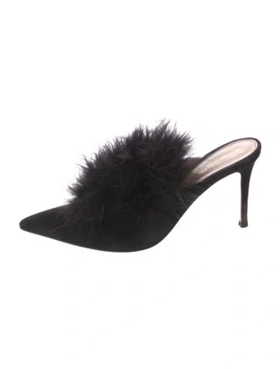 Pre-owned Gianvito Rossi Suede Mules In Black