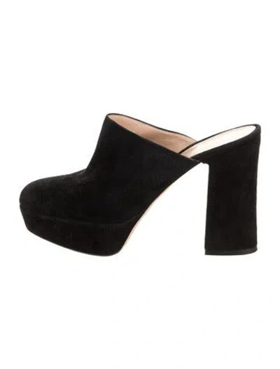 Pre-owned Gianvito Rossi Suede Mules In Black