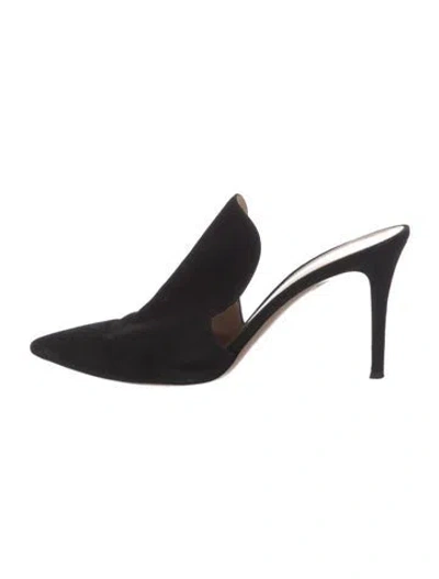 Pre-owned Gianvito Rossi Suede Mules In Black