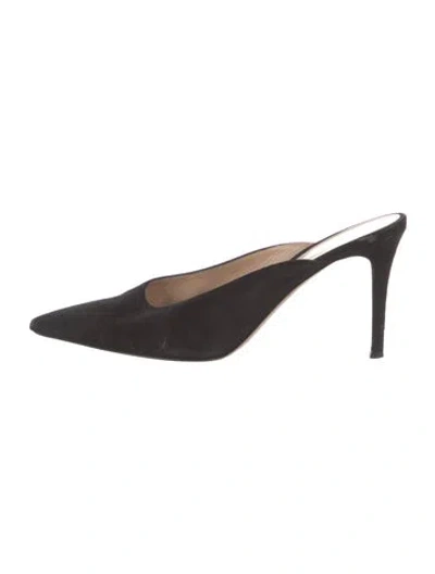 Pre-owned Gianvito Rossi Suede Mules In Black