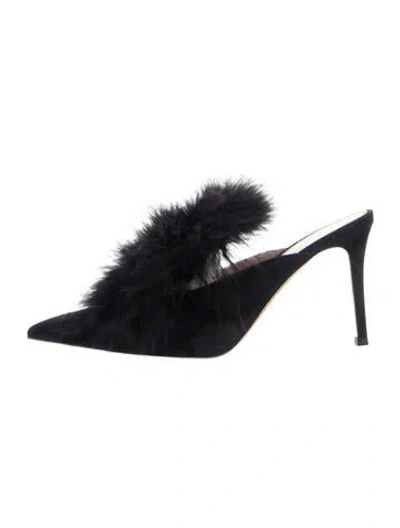 Pre-owned Gianvito Rossi Suede Mules In Blue