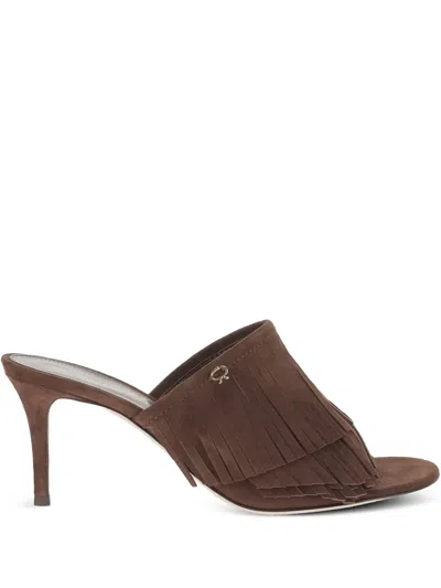 Gianvito Rossi Suede Mules In Brown